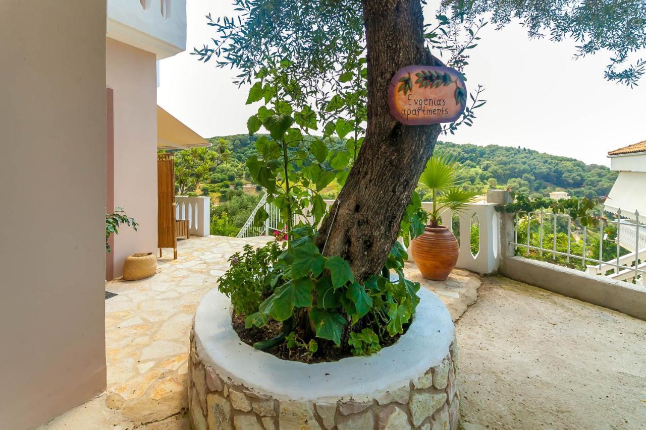 Views Apartments & Suites Parga Luaran gambar